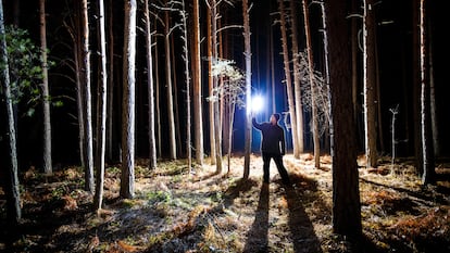 Un hombre ilumina el interior de un bosque con una luz led.