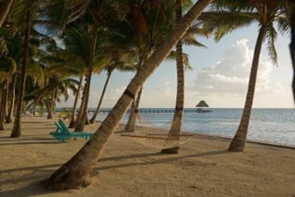 Hamacas en la playa de San Pedro, en el Cayo Ambergris, en Belice.