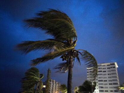 Furacão Dorian sacode as árvores de Freeport, nas Bahamas, na noite de domingo. Sudeste dos EUA se prepara para chegada da tempestade. 