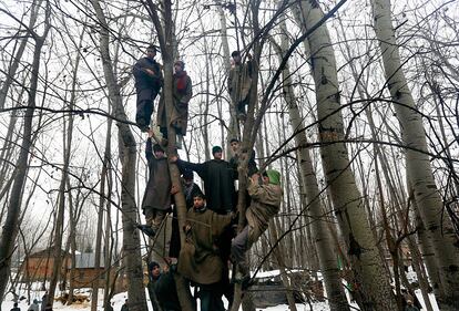 Aldeanos de Dogripora (Cachemira) contemplan, subidos a un árbol, el funeral de un militante local asesinado por el ejército de la India.