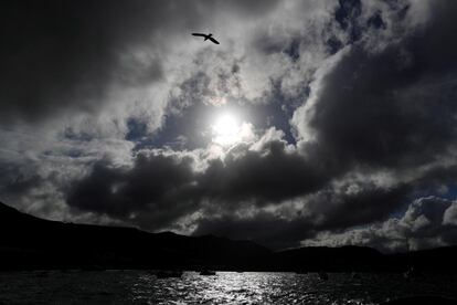 Una gaviota vuela entre nubes de tormenta que llegan a la costa en Ciudad del Cabo (Sudfrica).