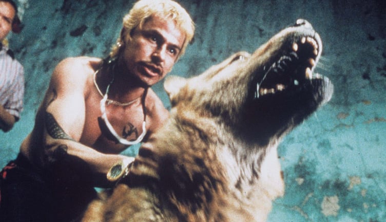 El guion original de ‘Amores Perros’ será adaptado como una serie