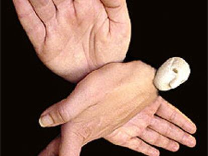 Imagen del espectáculo 'Los mundos de Fingerman'.