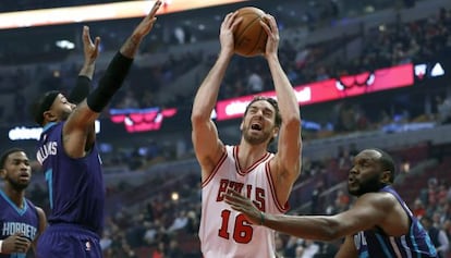 Pau Gasol (Los Bulls) en un partido ante el Charlotte Hornets.