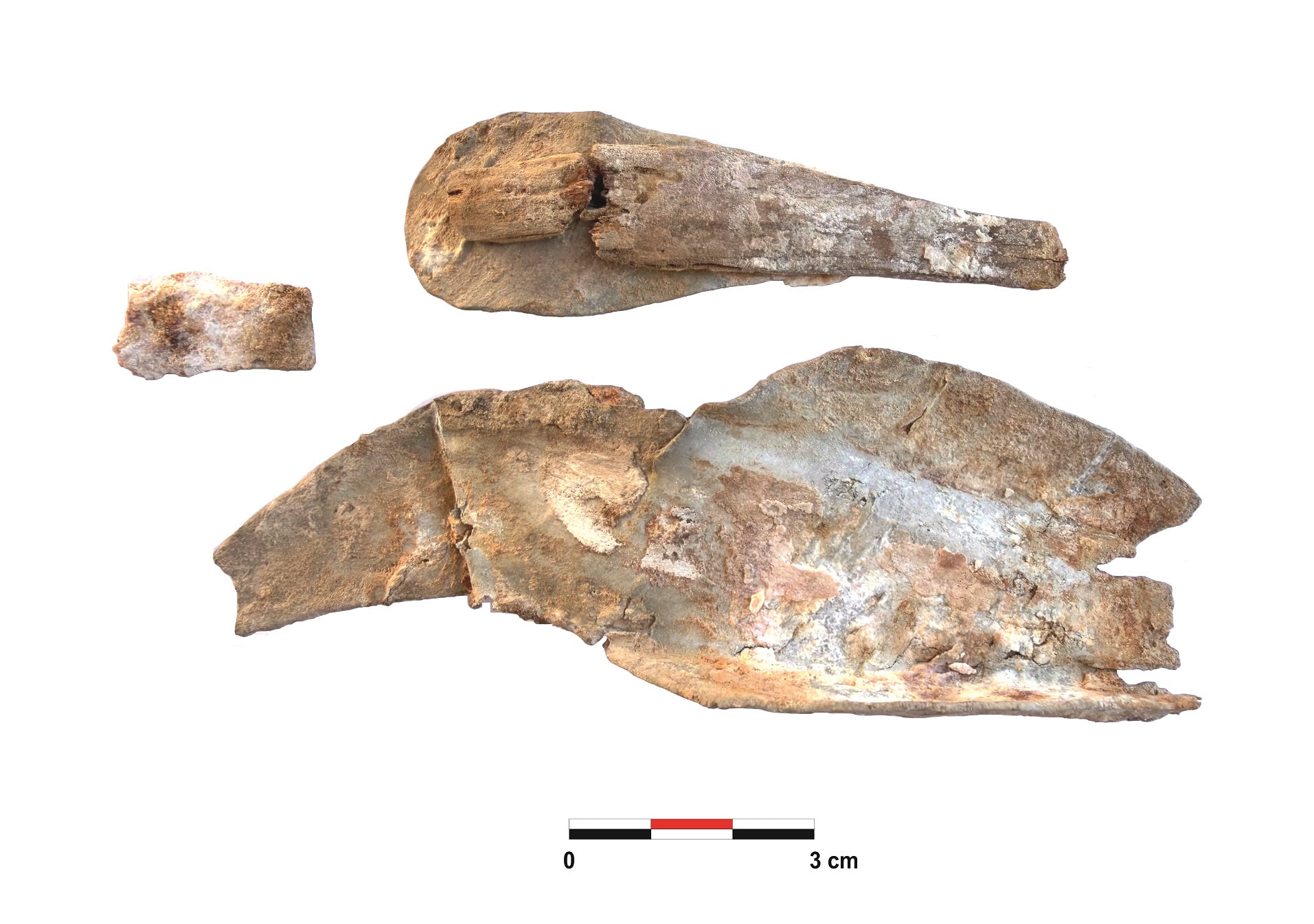 Cuchara con su funda elaborada por un prisionero. Foto: Proyecto arqueológico Campo de concentración de Albatera.