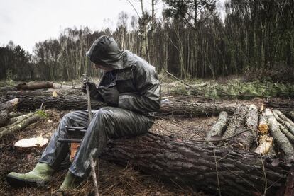 Un maderista afila su motosierra para cortar pinos bajo una intensa lluvia en Outeiro de Rei (Lugo).