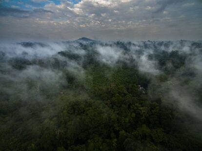 Vista de las tierras de los indios Wajãpi en la selva amazónica.