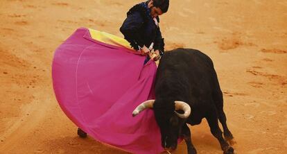 Morante de la Puebla en Ronda (Málaga) el pasado septiembre.