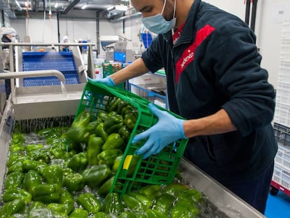 Ana Botín monta un centro de procesado de frutas y verduras