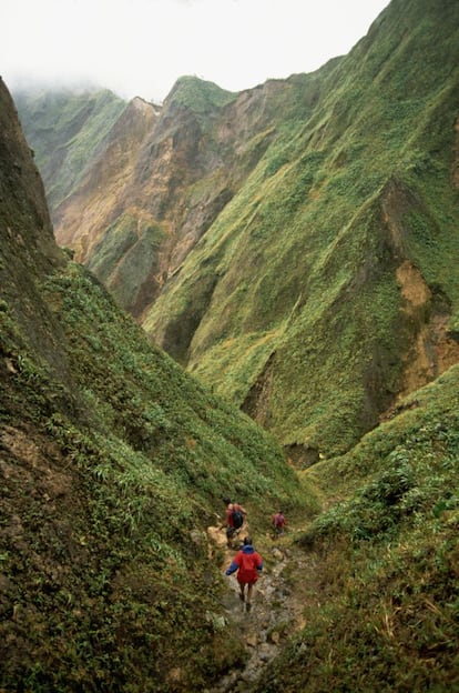 Ruta senderista en el valle de la Desolación, parque natural Trois Pitons, Dominica.