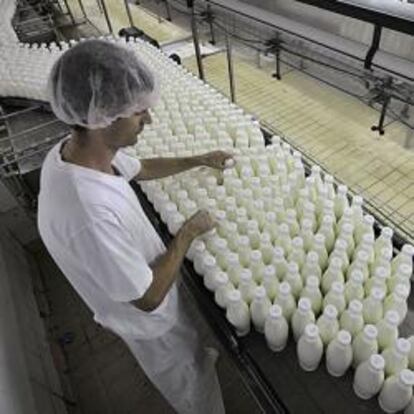 Un operario manipula botellas de leche.