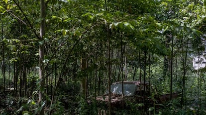 Los restos de una camioneta en la comunidad guatemalteca de Sebol, Izabal, un año después de los huracanes Eta y Iota.