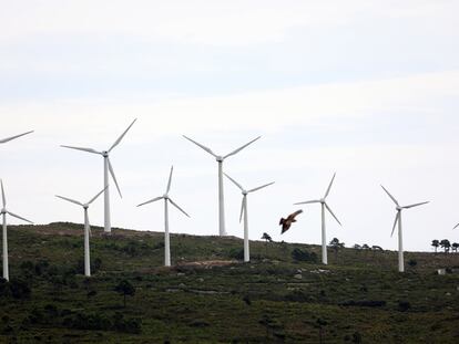 Molinos de viento en Pradell de la Teixeta