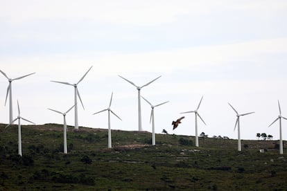 Molinos de viento en Pradell de la Teixeta