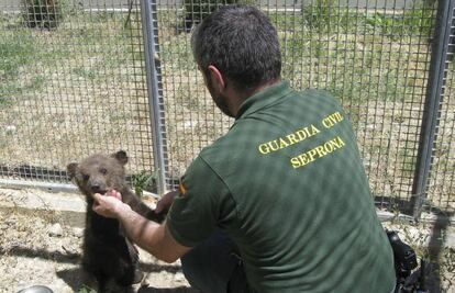 Seprona officer helps small animal.