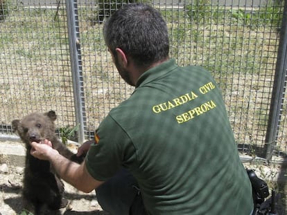 Seprona officer helps small animal.