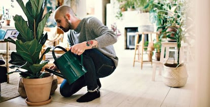 Un hombre cuida las plantas en el interior de su casa.