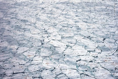 Jennifer Hayes (EE UU) graba focas arpa, crías de foca y la sangre del nacimiento contra el hielo marino que se derrite. Tras una tormenta, fueron necesarias horas de búsqueda en helicóptero para encontrar esta fractura en el hielo utilizada como plataforma de parto por las focas arpa. "Era un pulso de vida que te dejaba sin aliento", dice Jennifer. Todos los otoños, las focas arpa migran al sur desde el Ártico, hacia sus zonas de cría, retrasando los nacimientos hasta que se forma el hielo marino. Las focas dependen del hielo, por lo que es probable que el cambio climático afecte a las poblaciones futuras.