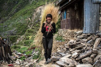 Sonriente, Urkelbu, transporta en trigo que acaba de cosechar junto a su madre, sobre los escombros de su aldea.