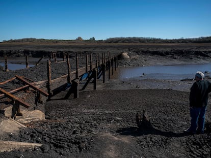 Un puente emerge a la vista debido al bajo nivel del agua en la reserva Paso Severino, el 28 de junio 2023.