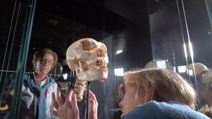 Museo de la Evolución Humana en Burgos.