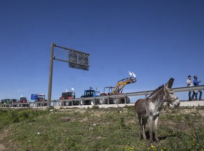 Protesta de agricultores a las afueras de Sevilla. 