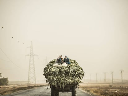 Agricultoras sírias transportan verduras na estrada entre Aleppo e Damasco.