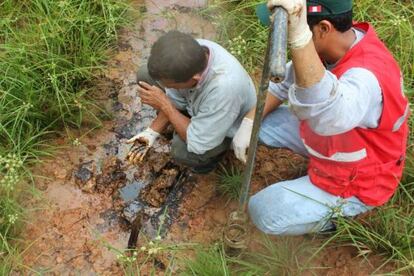 Imagen tomada en la laguna Shanshococha por la OEFA.