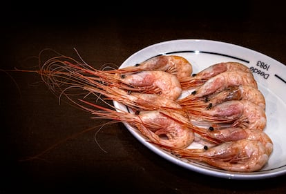 Gambas. 