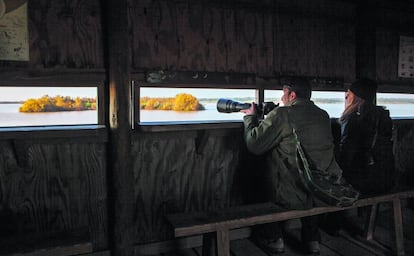 Dos personas, en una instalación para el avistamiento respetuoso de aves en Puebla del Río, Sevilla.