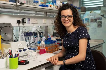 La bióloga Marta Shahbazi, en su laboratorio de la Universidad de Cambridge.