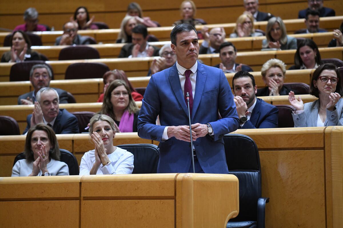 El debate entre Sánchez y Feijóo en el Senado, en dos minutos | Vídeos ...