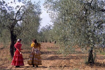 Dos mujeres con traje de sevillanas, en la romería de la Virgen de Cuatrovitas.