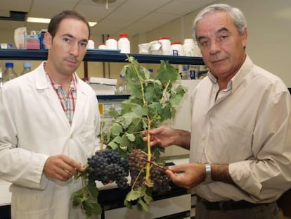 Pedro Balda, autor de la tesis sobre los vinos de La Rioja y Fernando Mart&iacute;nez de Toda, director de la tesis. Han descubierto dos nuevas variedades de vid.