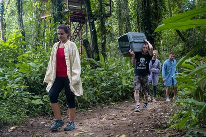 Liberación de animales en el bosque. Para saber cuándo un animal está listo para ser liberado, los expertos analizan si está sano, si se alimenta solo y si se siente cómodo en su hábitat natural.