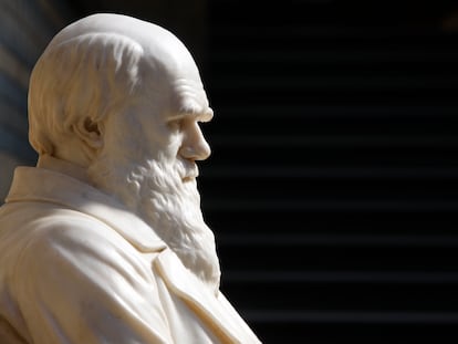 Estatua de Charles Darwin en el Museo Natural de Historia de Londres.