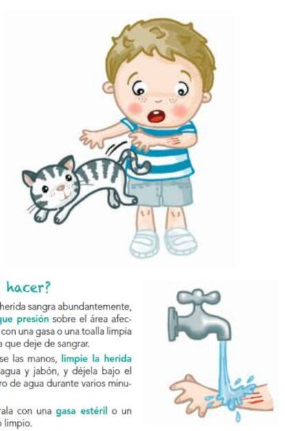 Extracto del manual en el que se explica cómo tratar una herida de mascota.