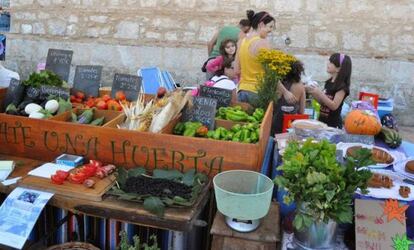 Exposición de productos de Date una Huerta en un mercadillo