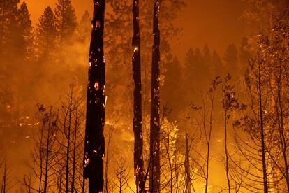 Incendio forestal cerca de Midpines (California).