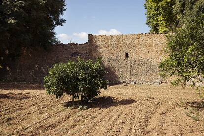 En Son Fortesa, la sede mallorquina de Camper, se diseña calzado al mismo tiempo que se trabaja la tierra.