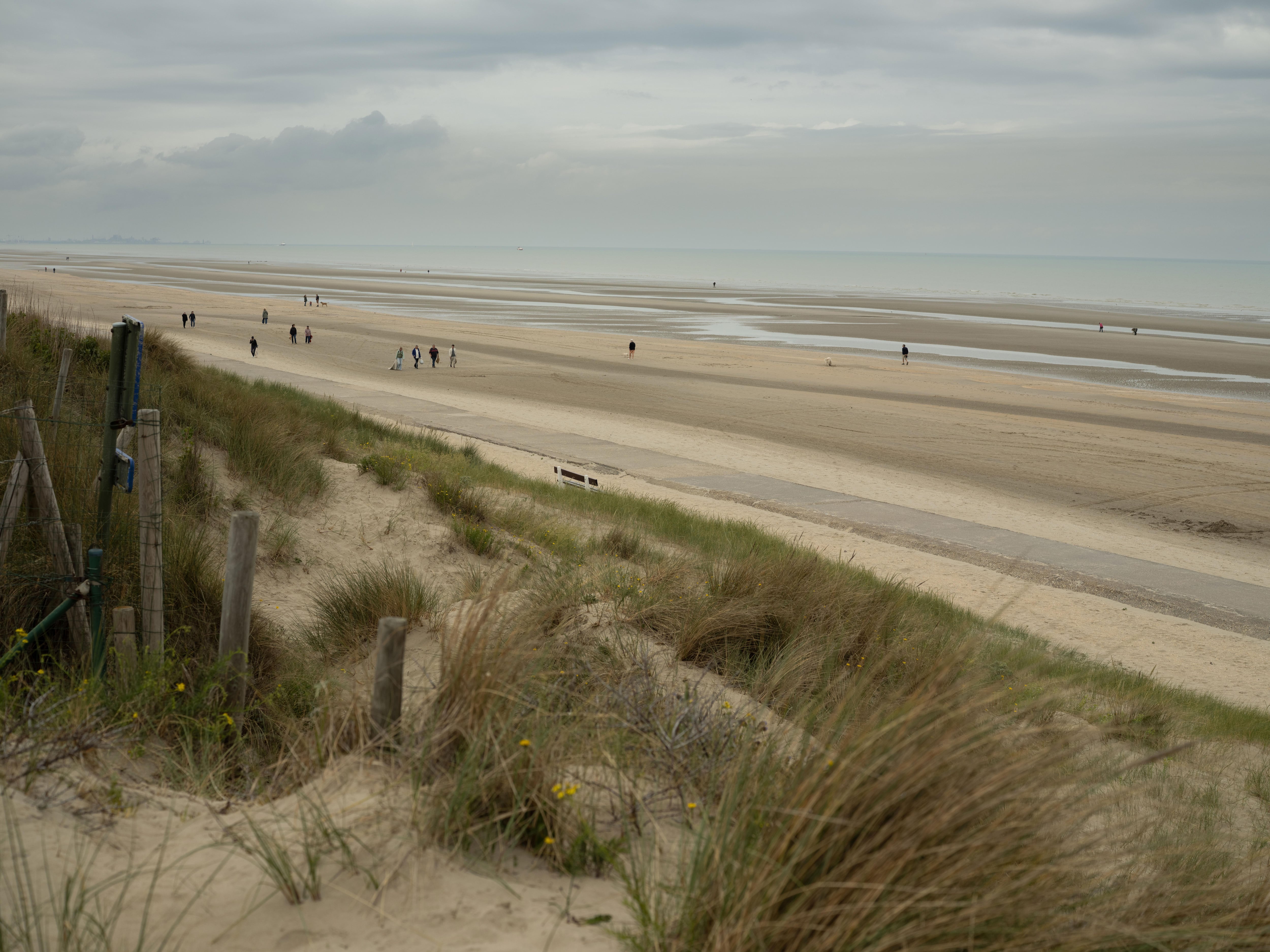 Barrera entre las dunas y la playa en la localidad belga de De Panne, el pasado 8 de junio.