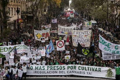 Madres y cultivadores se movilizan juntos por primera vez en la edición porteña de la marcha mundial de la marihuana.