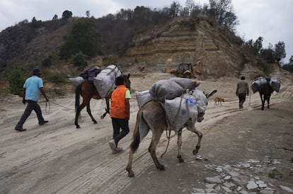 Agricultores mueven sus mulas cargadas de carbón, cubiertas con ceniza del volcán Popocatépetl en Santiago Xalitzintla.