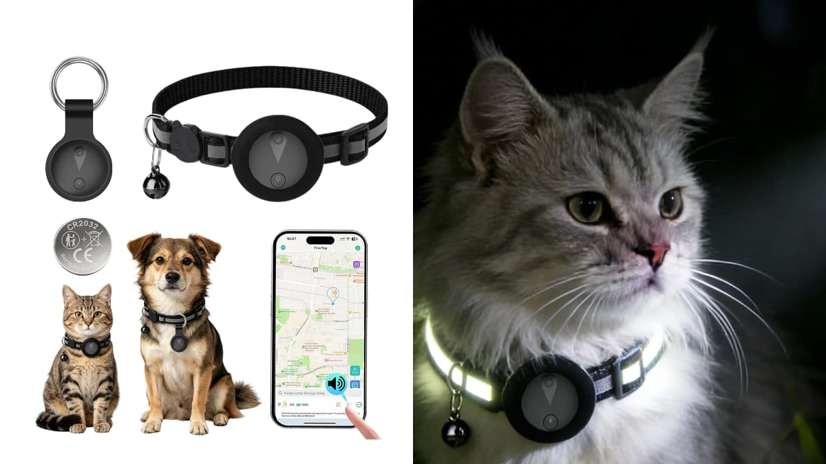Rastreador GPS para mascotas con collar reflectante.