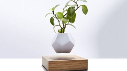 Naturaleza en suspensión