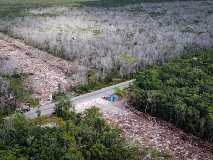 Zona deforestada para la construcción de las vías del tramo 5 del Tren Maya, en Playa del Carmen, el pasado 23 de marzo.