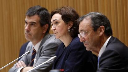 La directora general de Salud Pública, Mercedes Vinuesa, durante su comparecencia en el Congreso.