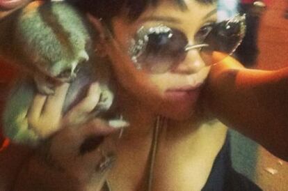 Esta foto de Rihanna con un lori perezoso, compartida Instagram, llevó a la policía a realizar dos detenciones.