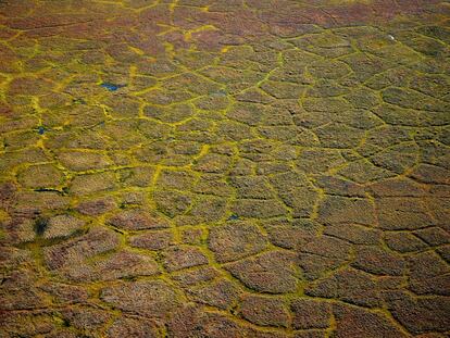 Foto de "Bering Land Bridge National Preserve"