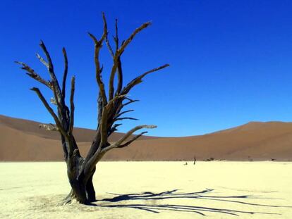 ¿Es este el desierto más bello del planeta?